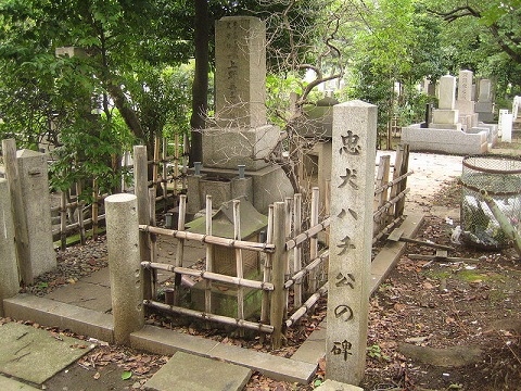 800px-Grave_of_Hidesaburo_Ueno_and_monument_of_Hachiko,_in_the_Aoyama_Cemetery.jpg