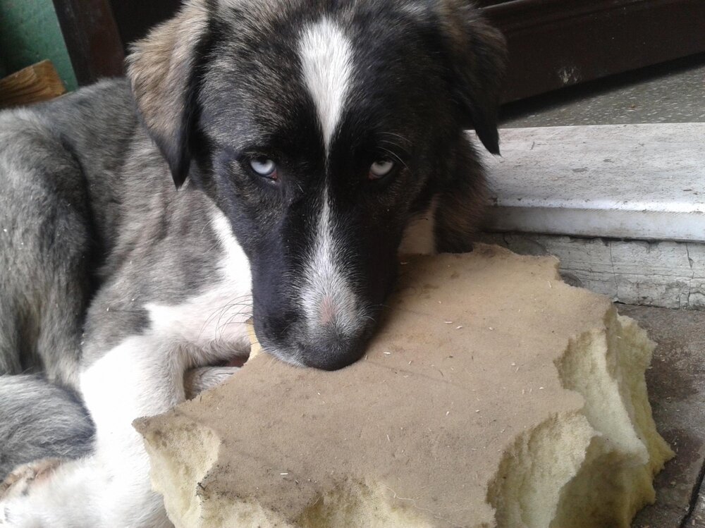 2013-01-23 13.39.06.jpg