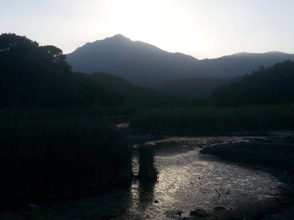 2015-08-16 18.52.12.jpg