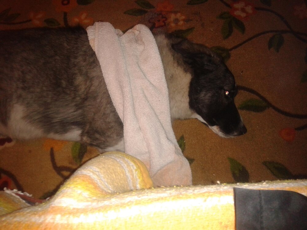 2013-01-25 04.08.55.jpg