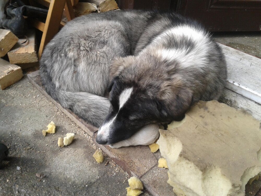 2013-01-23 13.39.35.jpg