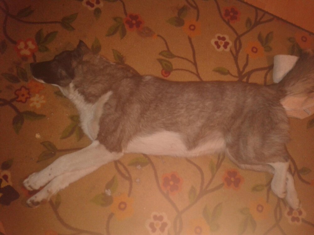 2013-01-25 05.00.01.jpg