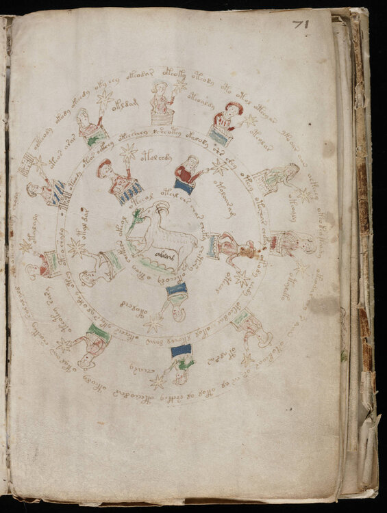 VoynichManuscript.jpg