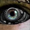 soothsayer