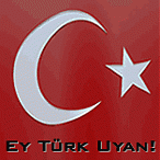 ForeverTurk