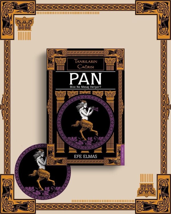 pan bize ne mesajveriyor.jpeg